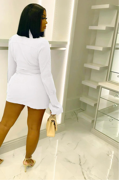 Single-Breasted Lapel Shirt Dress — A-Line Bodycon Long-Sleeve Mini Dress